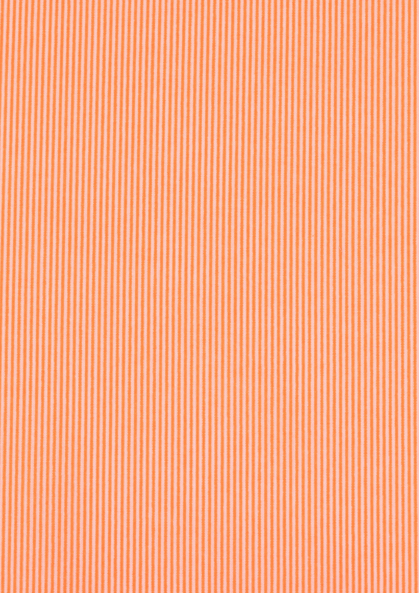 Tissu Coton Popeline Rigato 4 Tissu Coton Popeline Rigato – Image 4