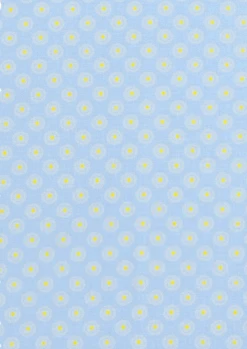 Tissu Coton Popeline Galatée Washed Blue