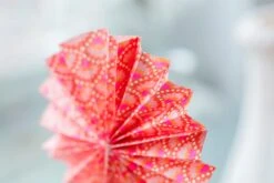 Papier Imprimé 3 Feuilles Wasabi 5 Papier Imprimé 3 Feuilles Wasabi -Petit Pan Soldes Magasin ClaireCurt PourPetitPan 02A9677